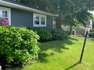 Tanya B.'s Cleanups service result