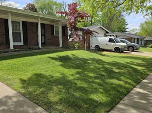 Eugene P.'s lawn maintenance service result