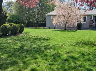 Judy F.'s turf care service result