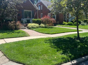 Joyce C.'s grass maintenance service result