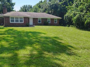 Shani D.'s lawn care service result