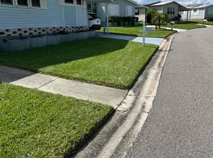 Robia G.'s yard service service result