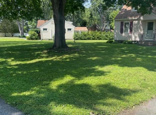 Gladys G.'s turf care service result