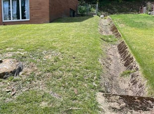 David R.'s lawn care services service result