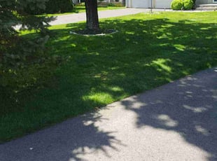 Danielle S.'s landscape maintenance service result