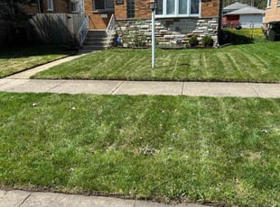 Cedric J.'s lawn care services service result