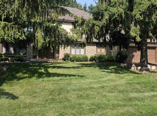 Aramis H.'s turf maintenance service result