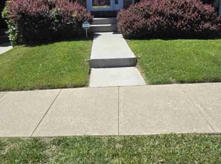 Tamara J.'s lawn care service result