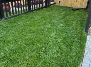 Keith D.'s grass cutting service result
