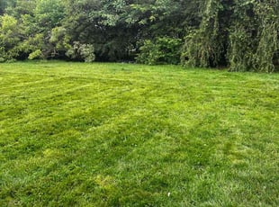 Rebecca B.'s lawn maintenance service result