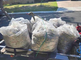 Kevin B.'s Leaf Removal service result
