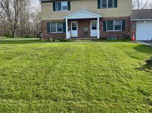 Kate M.'s grass cutting service result