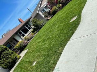 Linda G.'s yard work service result