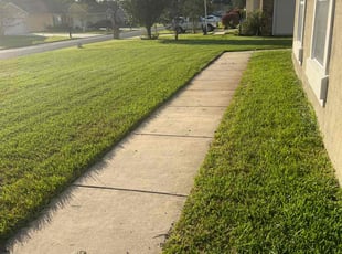 Danielle M.'s grass cutting service result