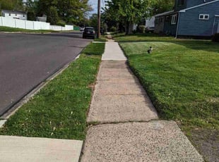 Bryan J.'s lawn care service result