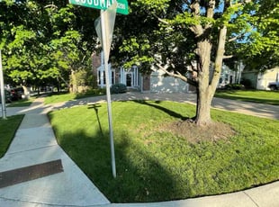 Philip C.'s lawn care services service result