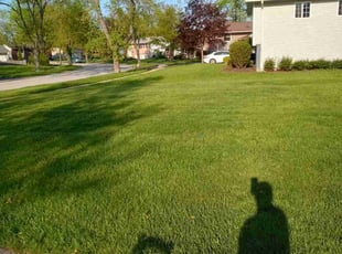Deborah C.'s turf maintenance service result