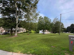 Avalon H.'s grass maintenance service result