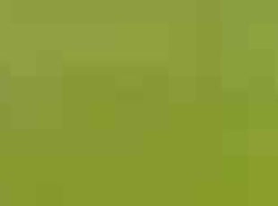 Japhet R.'s grass maintenance service result