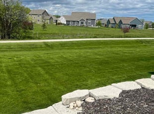 Shonie S.'s yard work service result