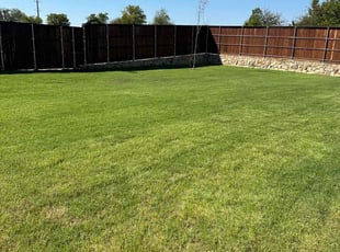 Andy K.'s lawn care services service result