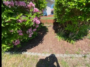 Sally C.'s Bush Trimming service result
