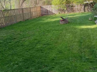 Lindy G.'s turf care service result