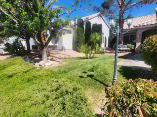 Dan W.'s lawn care services service result