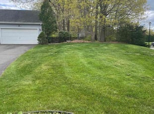 Tyeee I.'s turf care service result