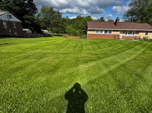 Don S.'s turf maintenance service result