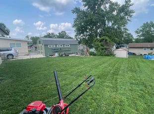 Calya S.'s lawn care service result