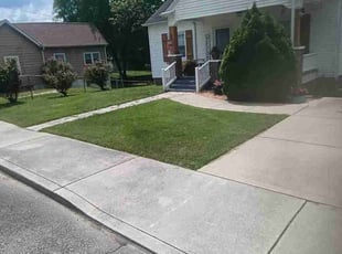 Manisha C.'s lawn service service result