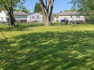 Kala L.'s turf care service result