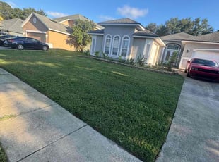 Tammy H.'s grass maintenance service result