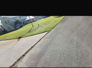 Stephanie M.'s grass maintenance service result