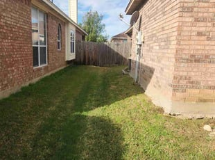 Cathy C.'s turf care service result