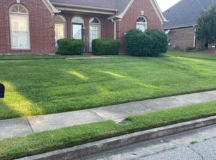 Marsha S.'s lawn maintenance service result