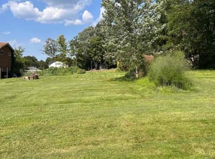 Devon K.'s grass cutting service result