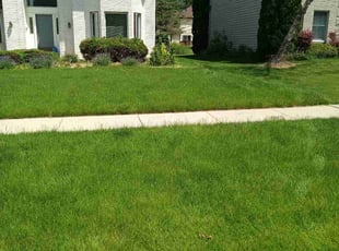 Marvin W.'s turf care service result
