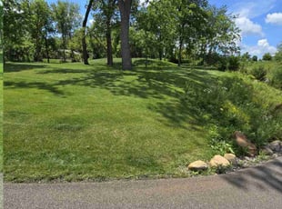 Joni B.'s grass cutting service result