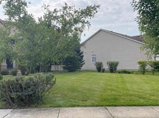 Matt C.'s lawn care services service result