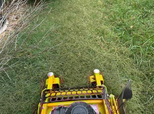Darryl S.'s lawn maintenance service result