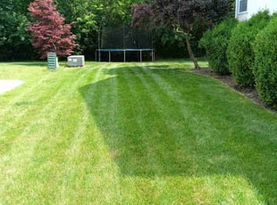 Candace P.'s lawn service service result