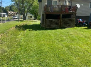 Shirley W.'s lawn care service result