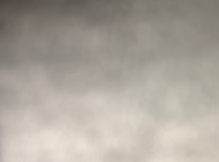 Elizabeth H.'s Bush Trimming service result