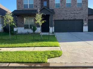 David D.'s grass cutting service result