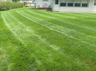 Emelie l.'s turf care service result
