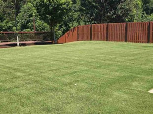 Christian M.'s lawn care service result