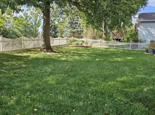 Abbas I.'s lawn service service result
