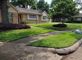 Danae J.'s turf care service result